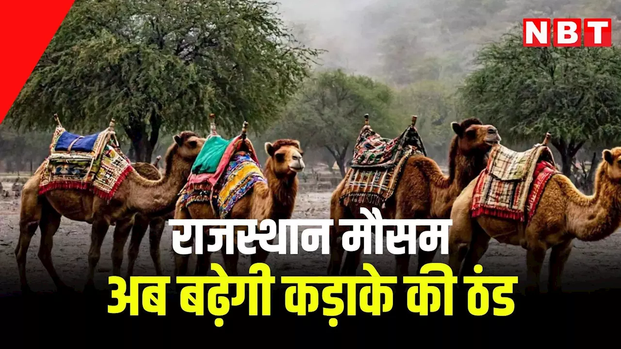 Rajasthan weather Update:राजस्थान में अब बढ़ेगी कड़ाके की ठंड, दिसंबर के इस हफ्ते से बदलेगा मौसम,जानें