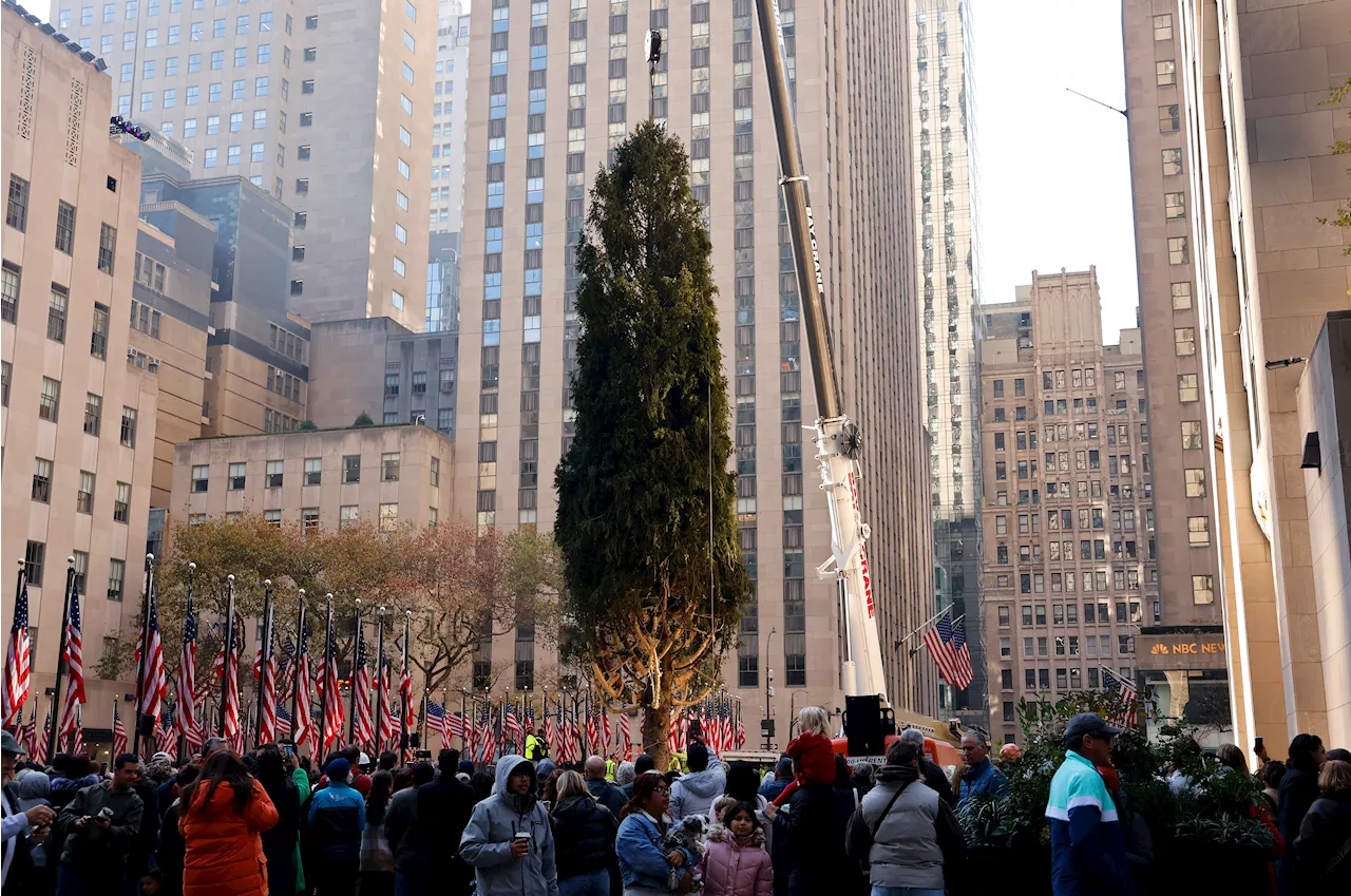 How to watch the 2024 Rockefeller Center Christmas tree lighting