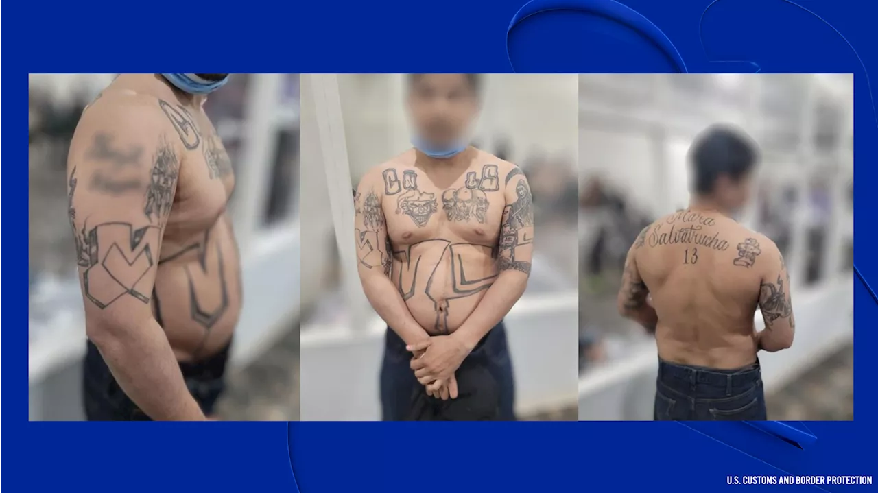 San Diego Border Patrol Apprehends MS-13 Gang Member