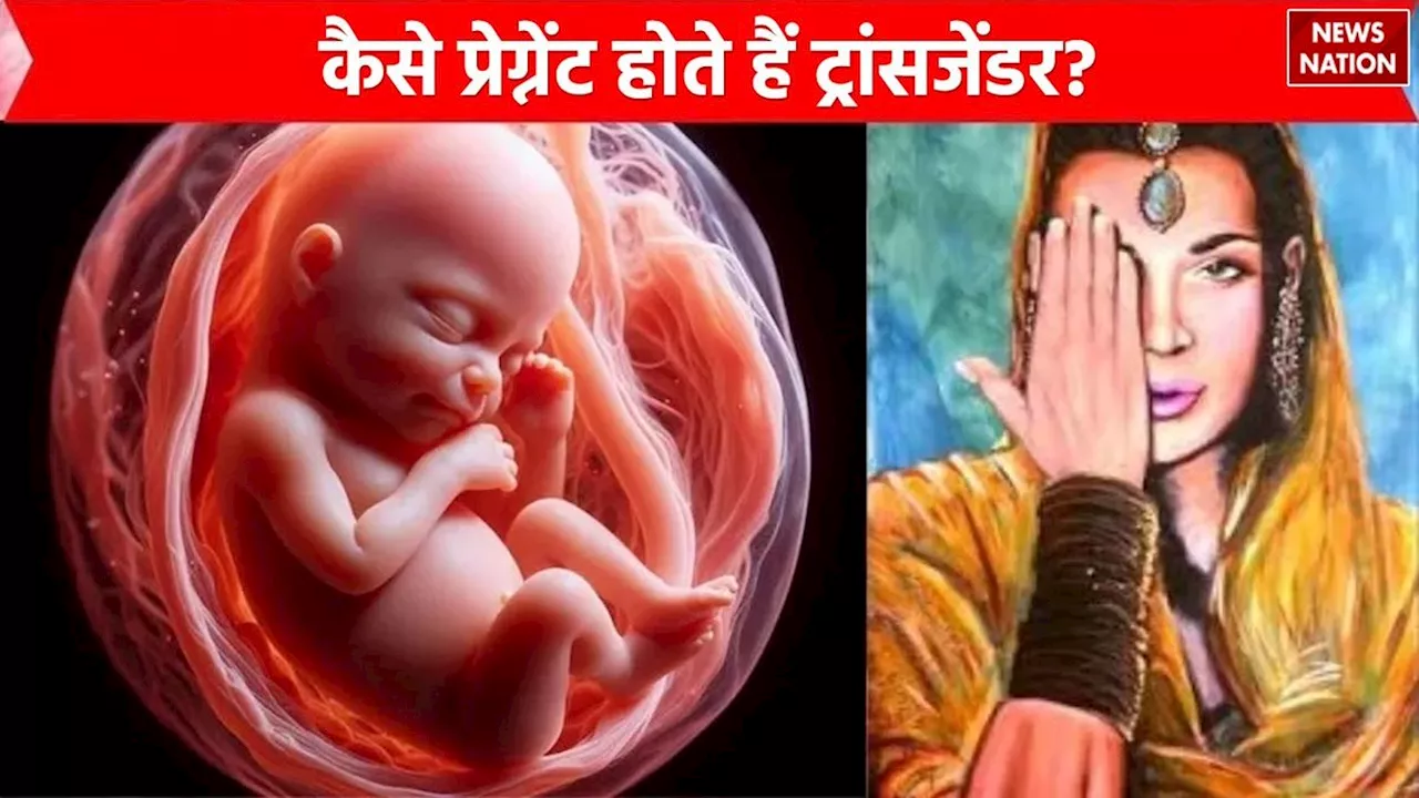 किन्नर कैसे होते हैं प्रेग्नेंट? जानिए कैसे बच्चा पैदा करते हैं ट्रांसजेंडर