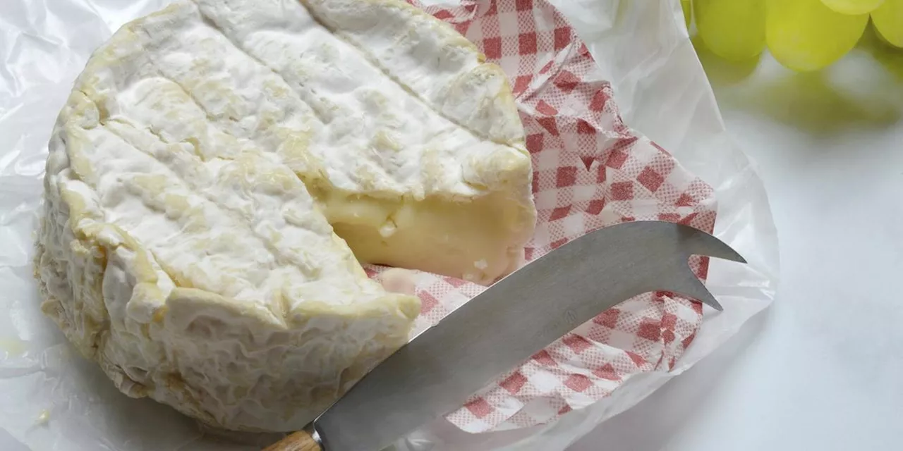 Earl Ferme des Aulnays: Camembert Fermier au lait cru/ kleiner Normanne wird wegen erhöhter Staphylokokken-Konzentration zurückgerufen