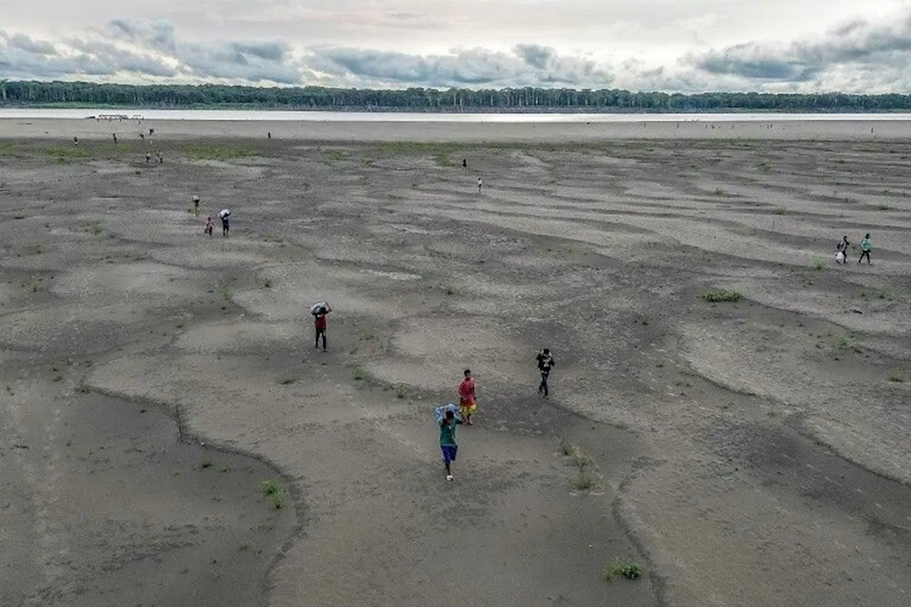 COP16: la conférence de l'ONU sur la désertification s'ouvre en Arabie saoudite