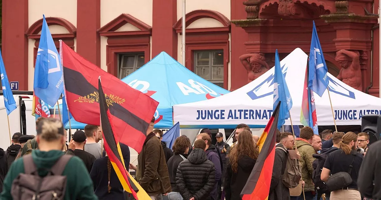 AfD-Spitze für Trennung von «Junger Alternative»