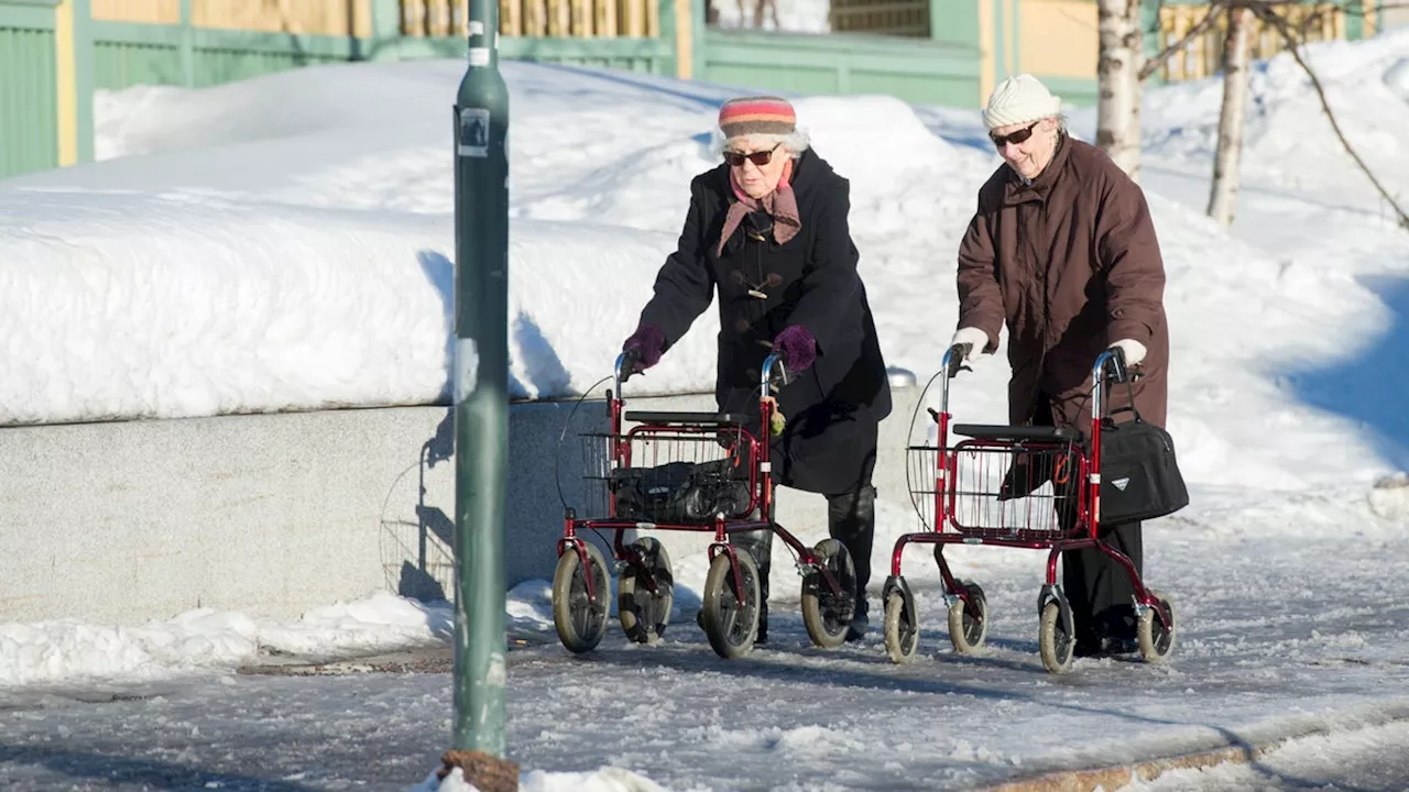 Centerpartiet Pausar Pensionärsrådet 2025-2026