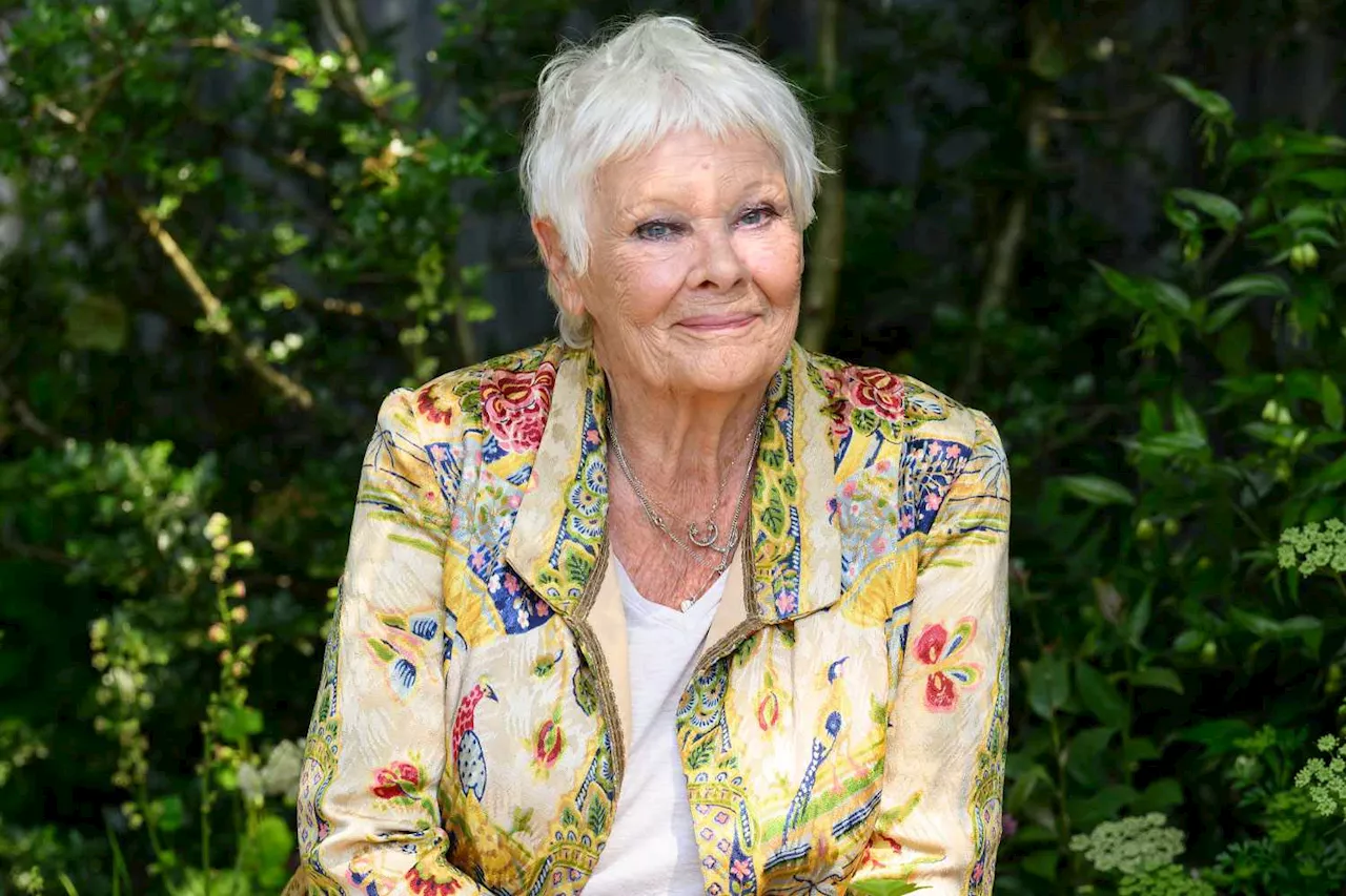 Judi Dench Says Her Pet Parrot Sweetie Calls Her a ‘Slut’: ‘Everyone Should Have One’