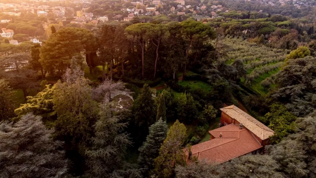 Ai Castelli Romani apre un museo dell’olio tra vigneti e olivi secolari