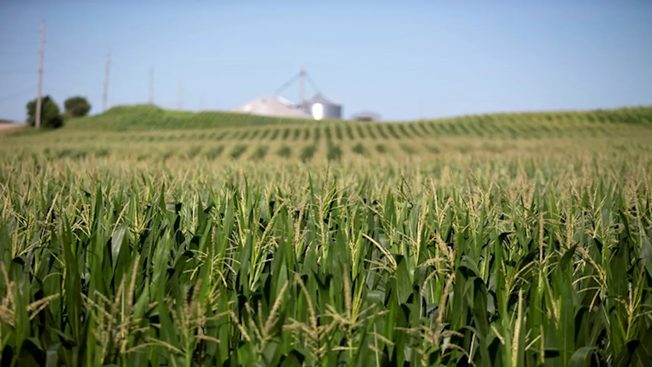 South Africa Marks 30 Years of Land Restitution Act Amid Challenges