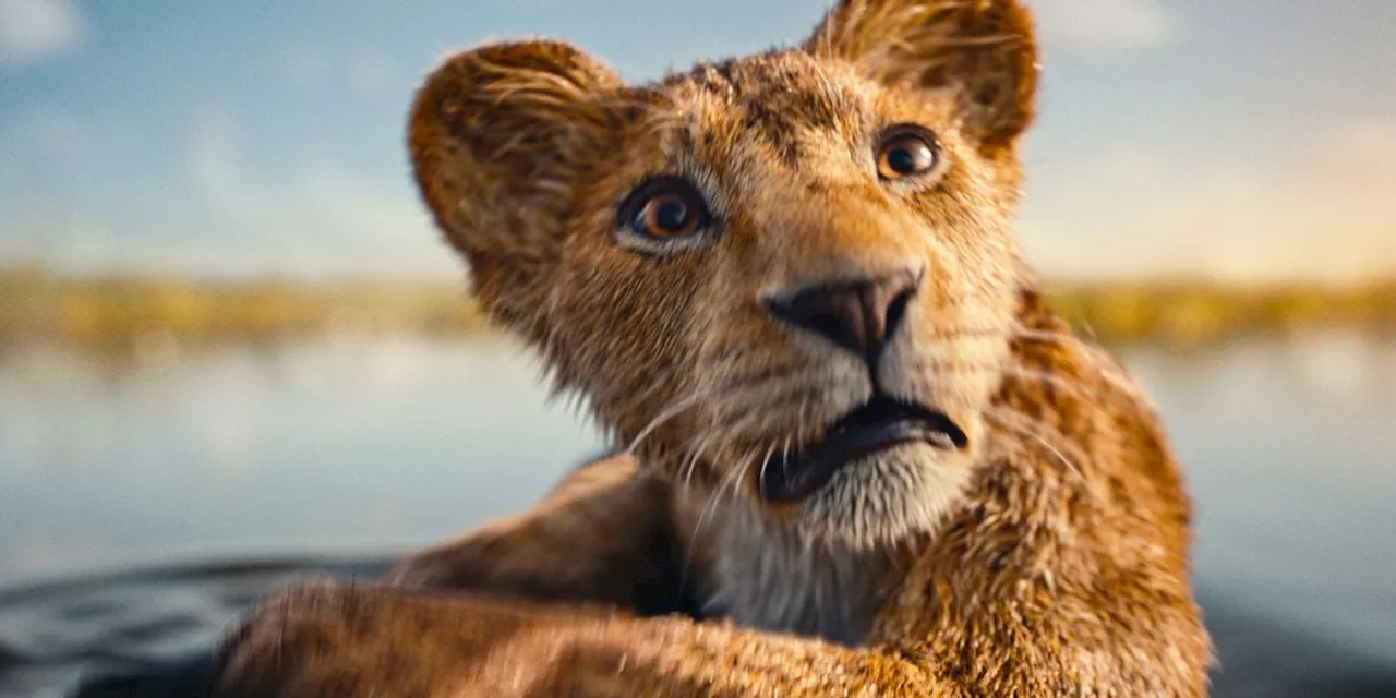 Barry Jenkins Hesitant But Convinced by Script for Mufasa: The Lion King