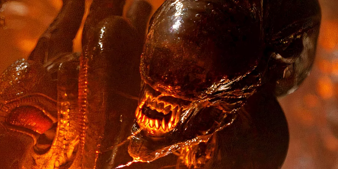 Horrifying Alien Art Imagines Xenomorph-Spider Hybrid (Why Haven’t The Movies Tried This Yet?)