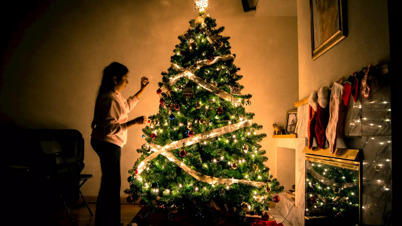 Cuál es el origen del árbol de Navidad