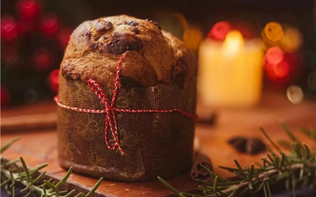 I segreti dietro a PanCriCrì, il primo panettone al mondo con i grilli