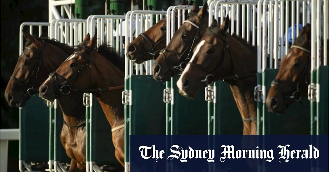 Race-by-race previews and tips for Taree on Tuesday