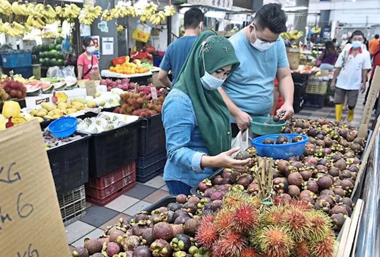 Contradictory Reports on Malaysia’s Fruit Market Growth