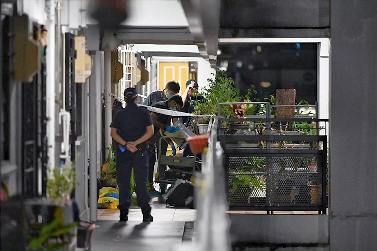 Singapore Police Discover 30-Year-Old Woman's Body in Dover HDB Flat