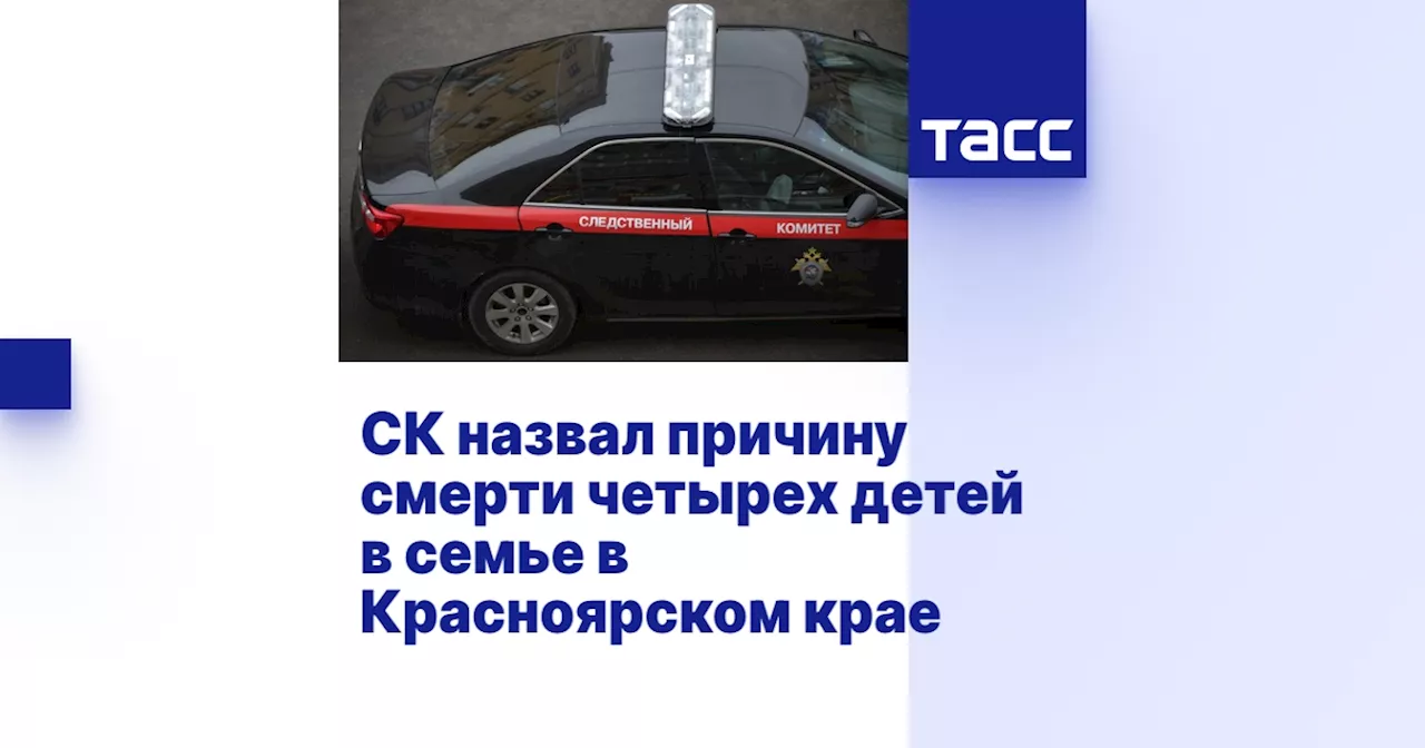 СК назвал причину смерти четырех детей в семье в Красноярском крае