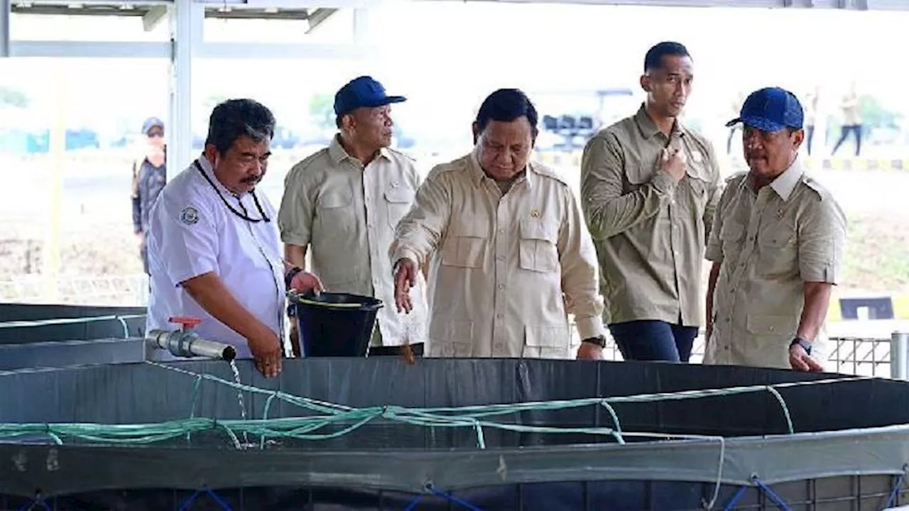 Prabowo Cek Kawasan Tambak Ikan Nila di Karawang