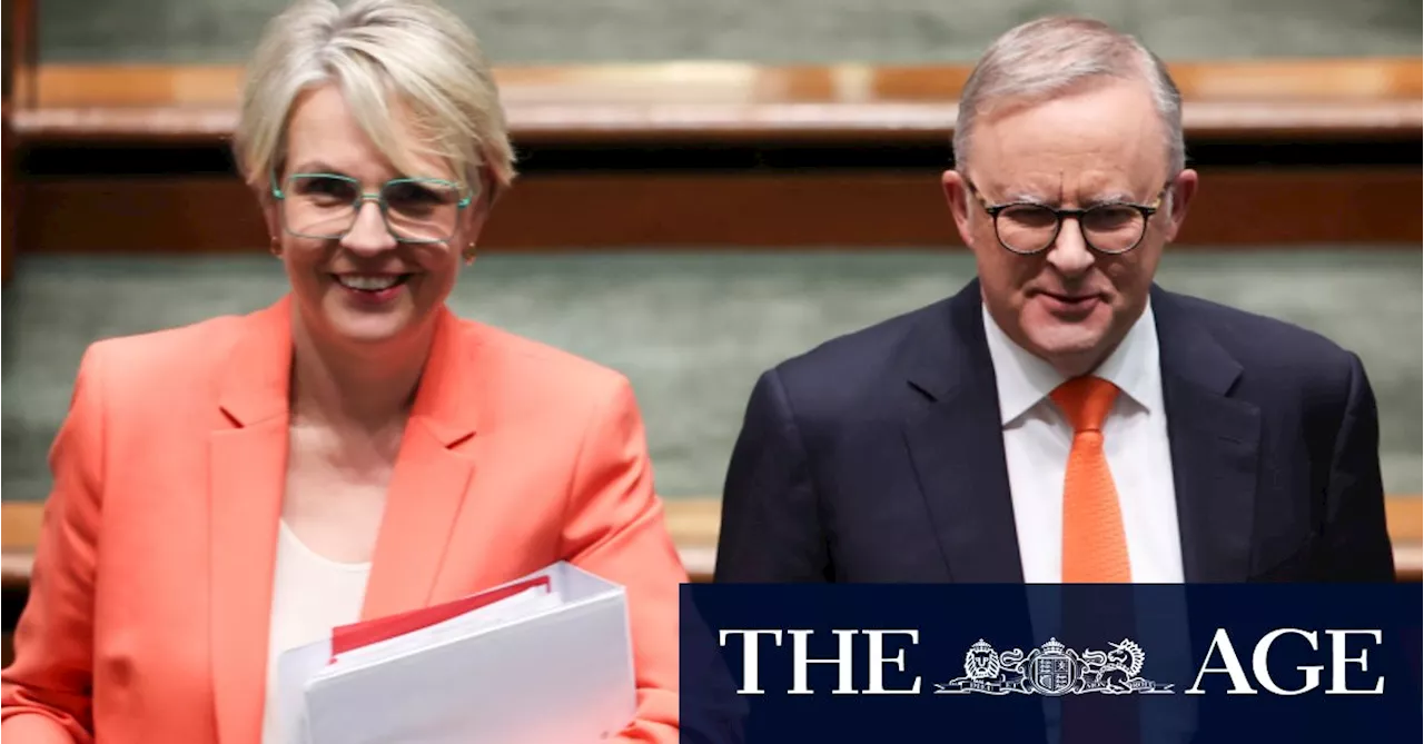 Plibersek Struggles to Revive Environmental Protection Agency Deal Amid Green Demands