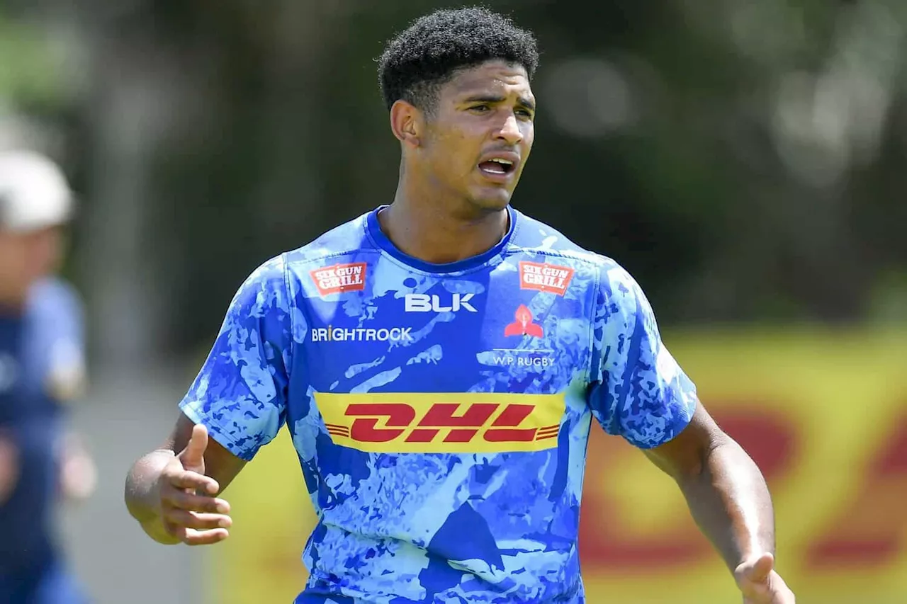 Stormers confirm Sacha will miss Toulon game after concussion