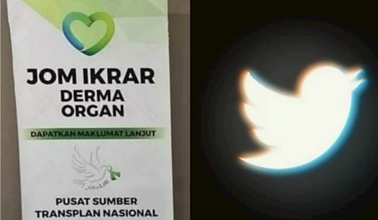 Tweet Sparks Surge in Organ Donor Pledges in Malaysia