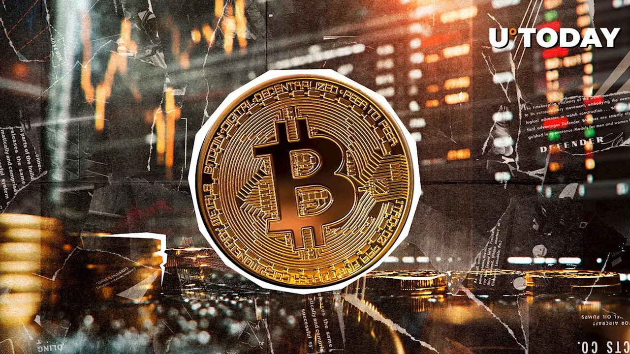 Bitcoin (BTC) Dominance Collapses: Altcoins Ready to Surge