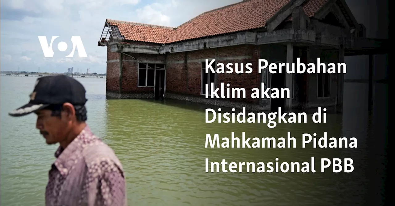 Kasus Perubahan Iklim akan Disidangkan di Mahkamah Pidana Internasional PBB