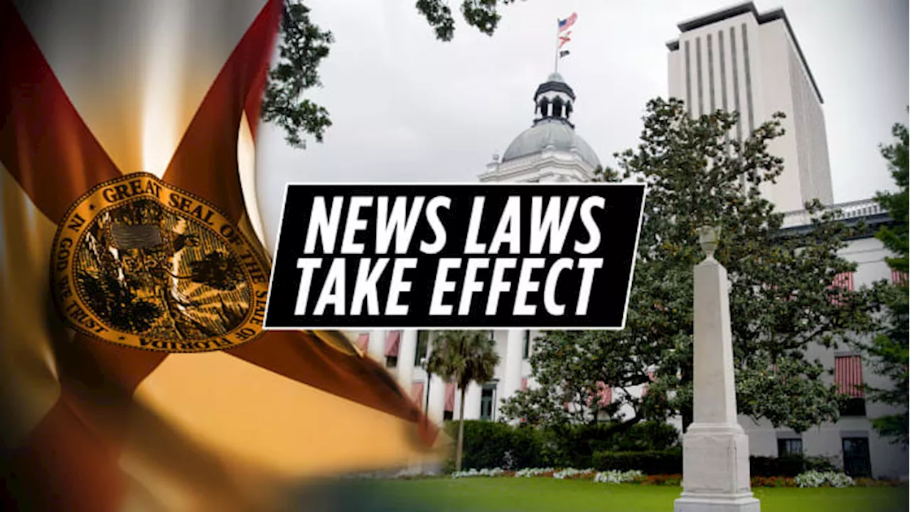 Nine New Florida Laws to Take Effect in January 2025