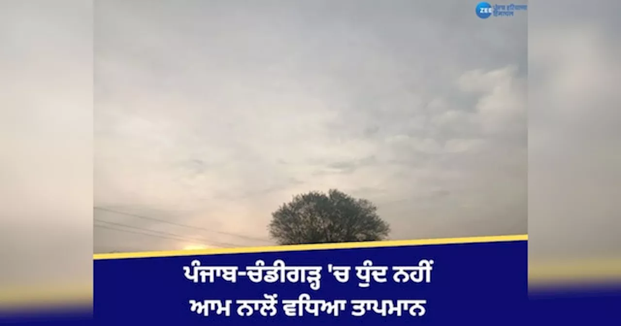 Punjab Weather Update: ਪੰਜਾਬ-ਚੰਡੀਗੜ੍ਹ ਚ ਧੁੰਦ ਦਾ ਕਹਿਰ ਘਟਿਆ, ਤਾਪਮਾਨ ਆਮ ਨਾਲੋਂ 2.9 ਡਿਗਰੀ ਵੱਧ