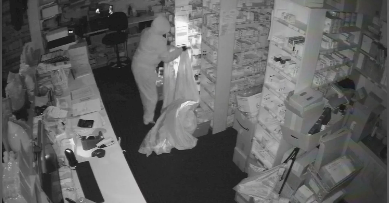 Adelaide chemist targeted in brazen smash-and-grab