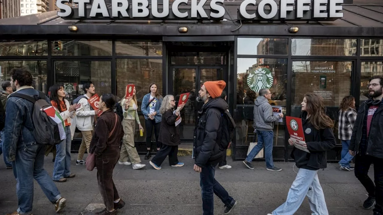 Thousands of Starbucks Baristas Go on Strike Ahead of Christmas