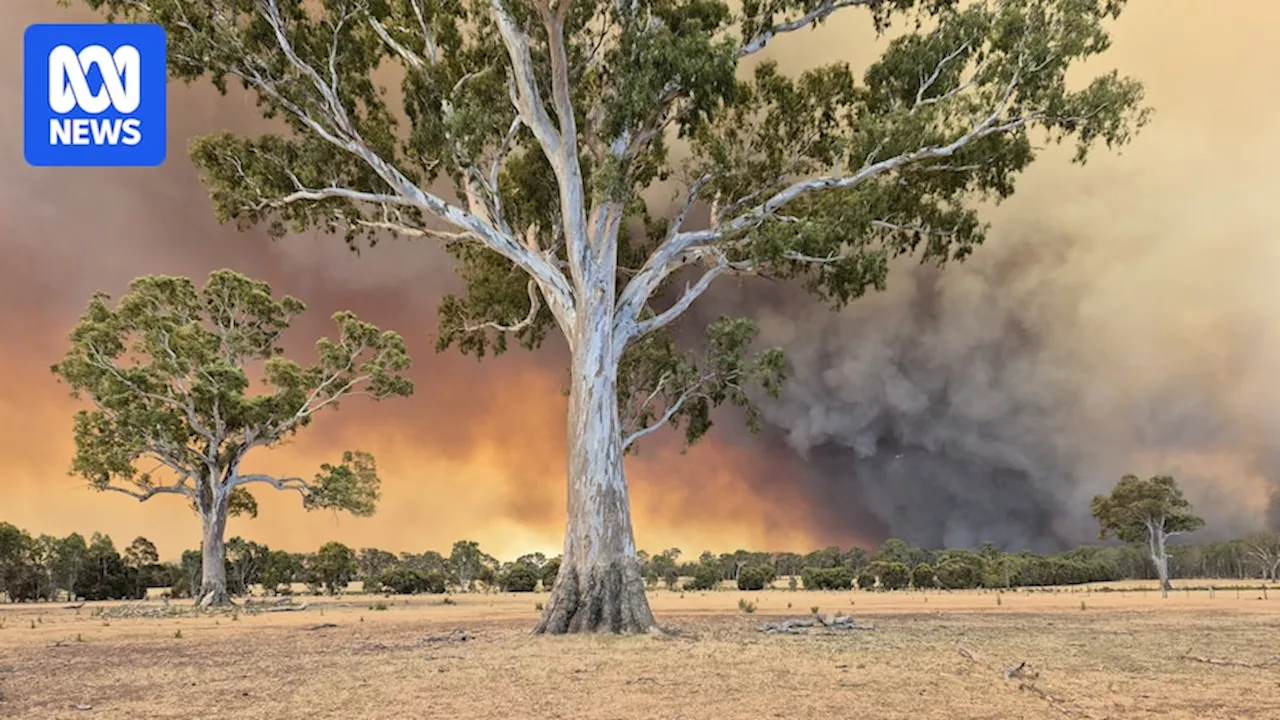 Halls Gap residents told to leave immediately, holiday-makers urged to stay away as Grampians fire triples in size