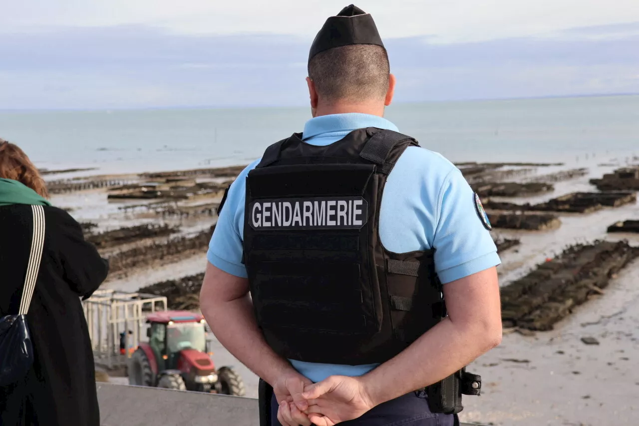 Baie du Mont-Saint-Michel : les huîtres sous surveillance pour les fêtes de fin d'année