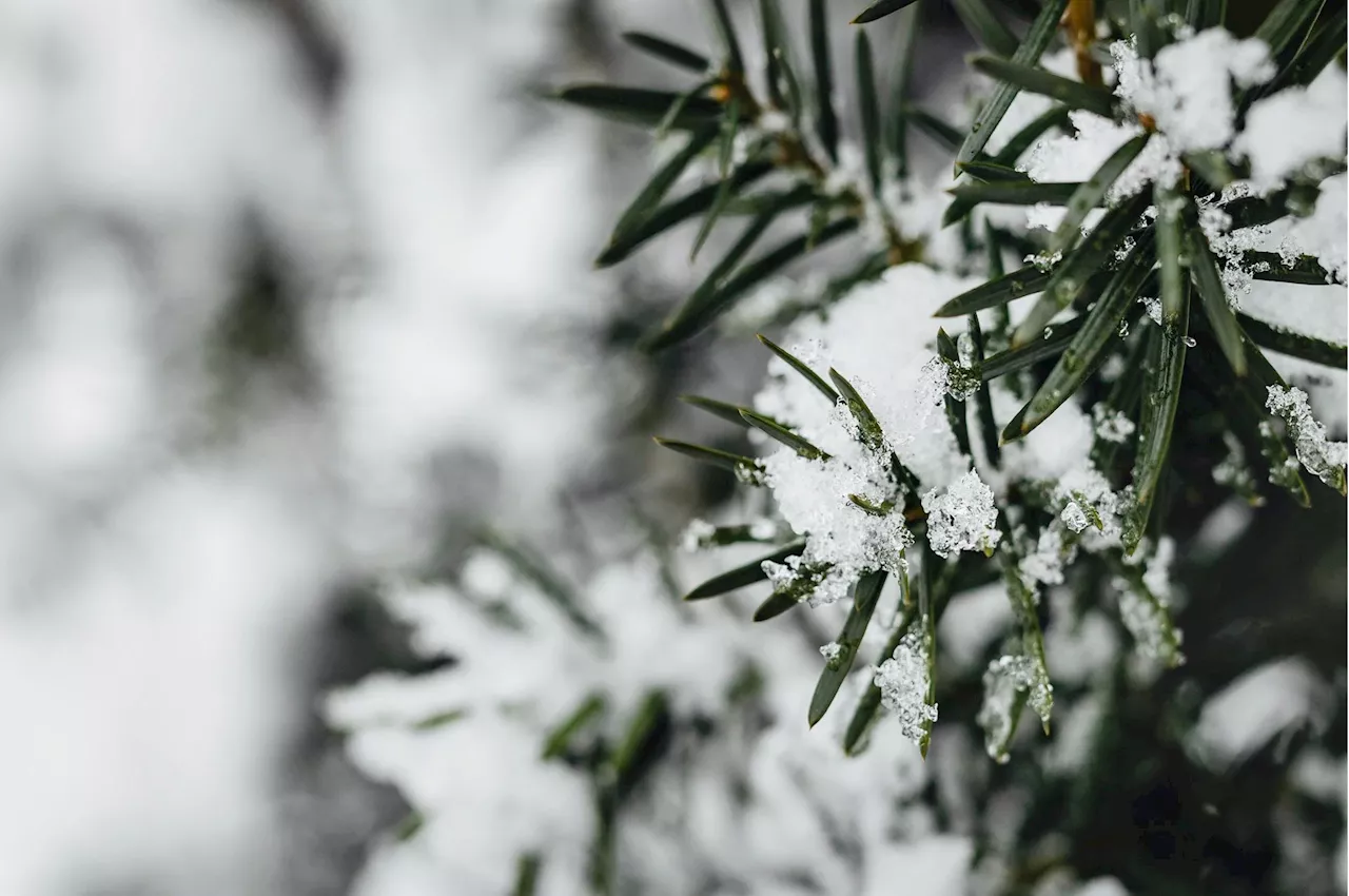 Due Tempeste Polari Portano un Natale Freddo in Italia