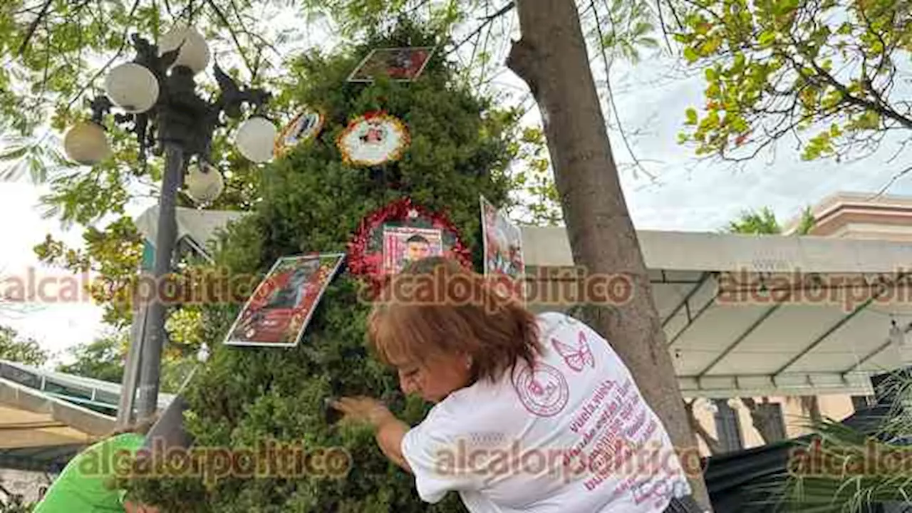 Visibiliza colectivo a sus desaparecidos con el “árbol del dolor”, en Veracruz Puerto