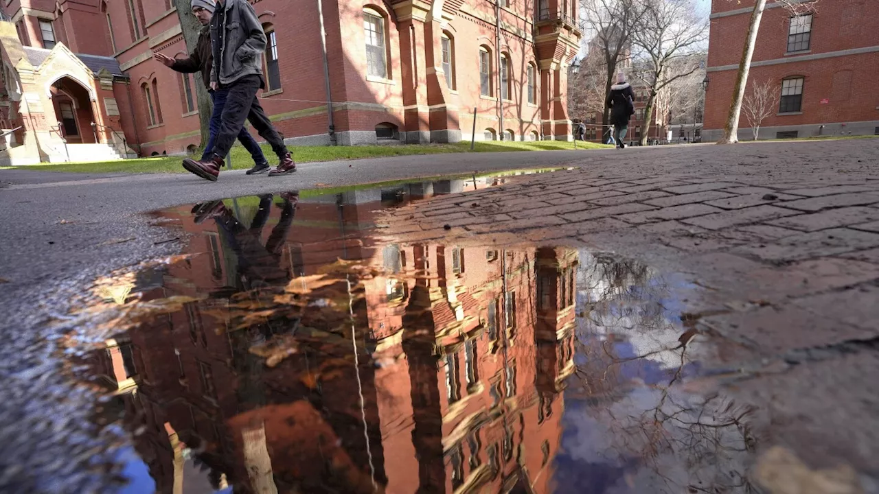 People walk between buildings on Harvard campus