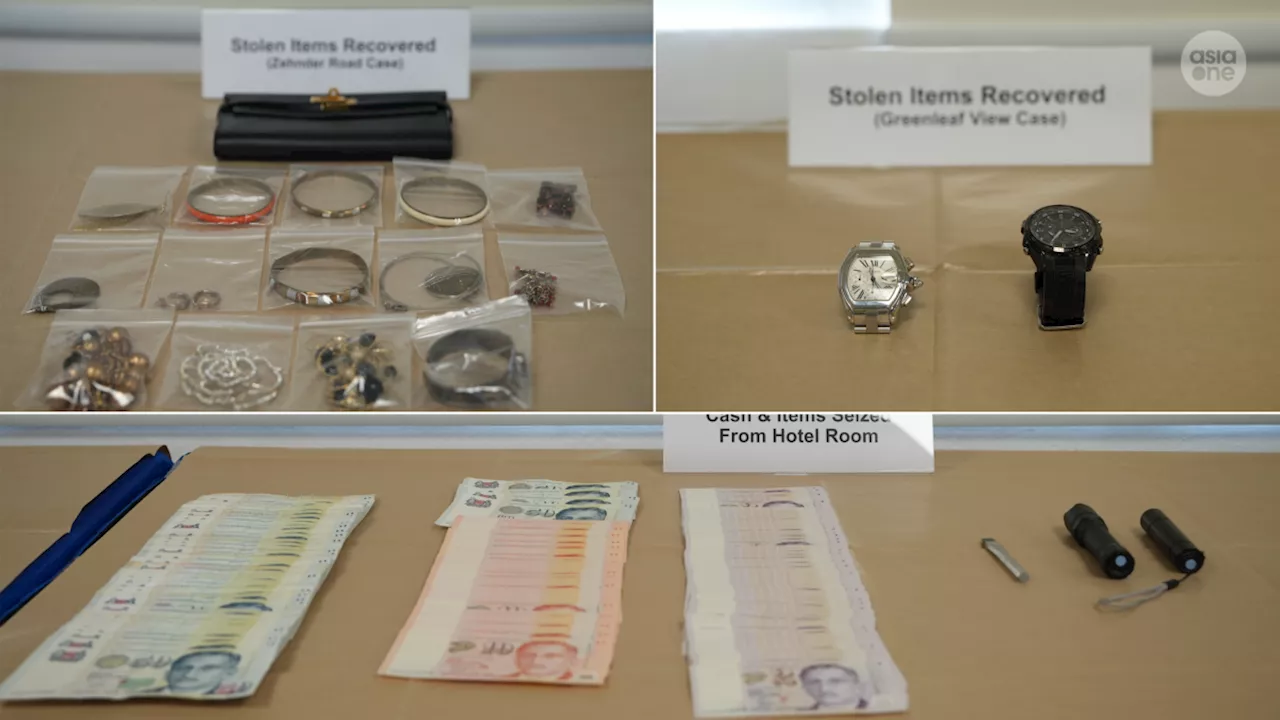 2 Chinese nationals arrested for housebreaking and theft at Bukit Timah and Buona Vista landed estates