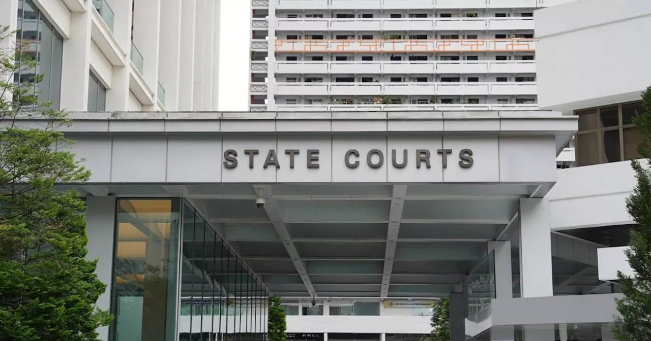 Singapore Driver Sentenced for Entering Military Camp After Drinking