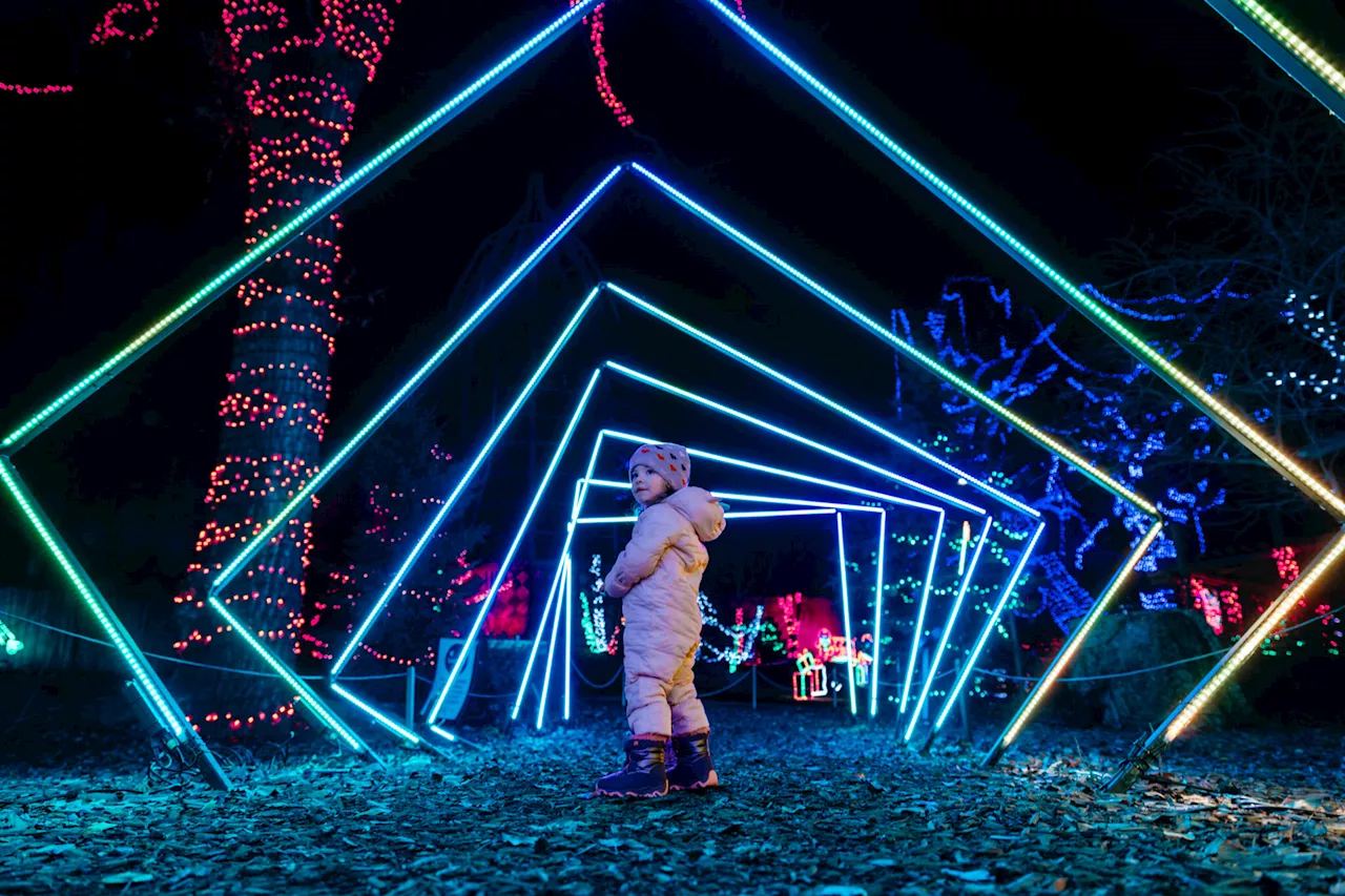 Calgary Downtown Welcomes Winter with Festive Fun