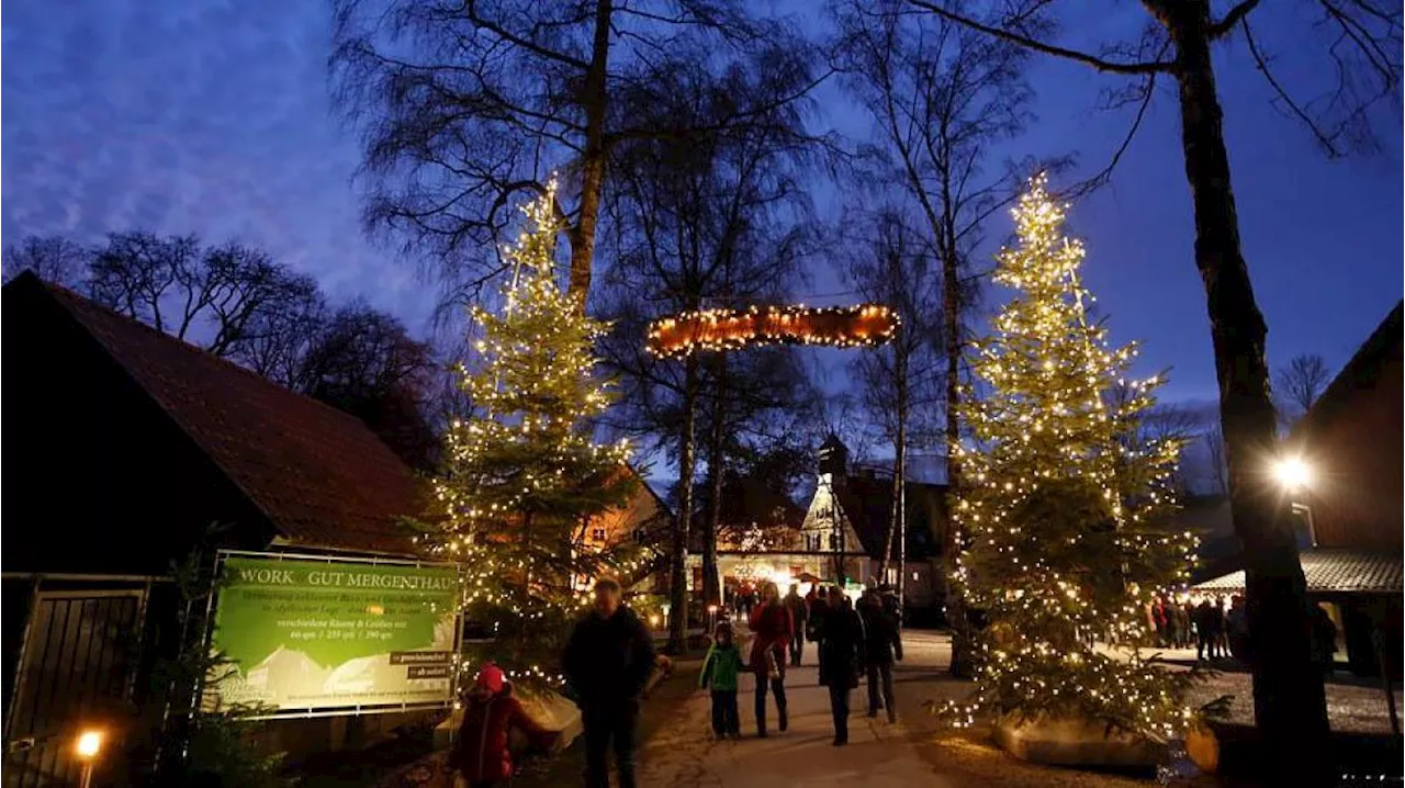 Waldweihnacht auf Gut Mergenthau mit Christbaumverkauf