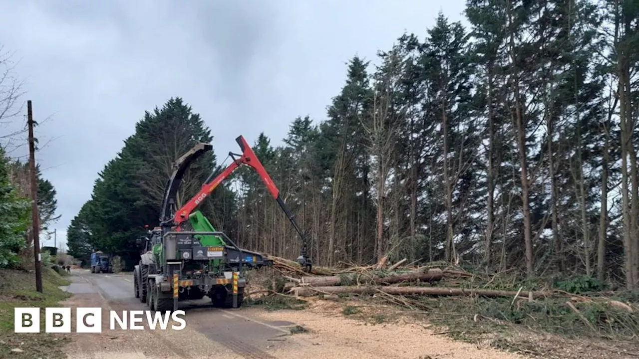 Cotswolds storm-hit road to stay closed as 40 trees to be felled