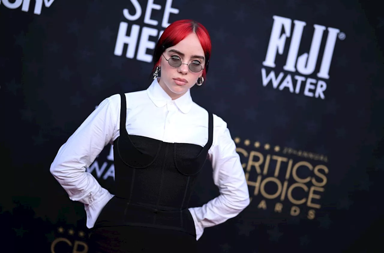 Billie Eilish Partners With Support+Feed and American Express to Provide Meals for Small Businesses