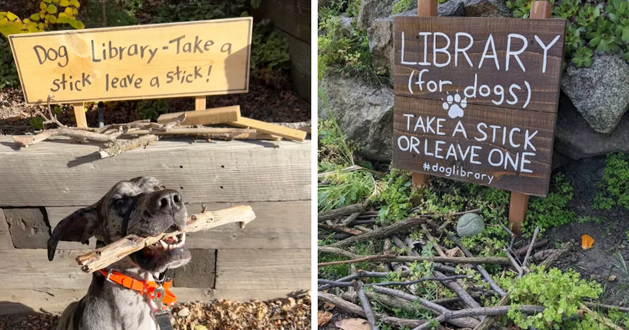 Adorable Idea Of Stick Library For Dogs Is Melting People’s Hearts All Over The Internet