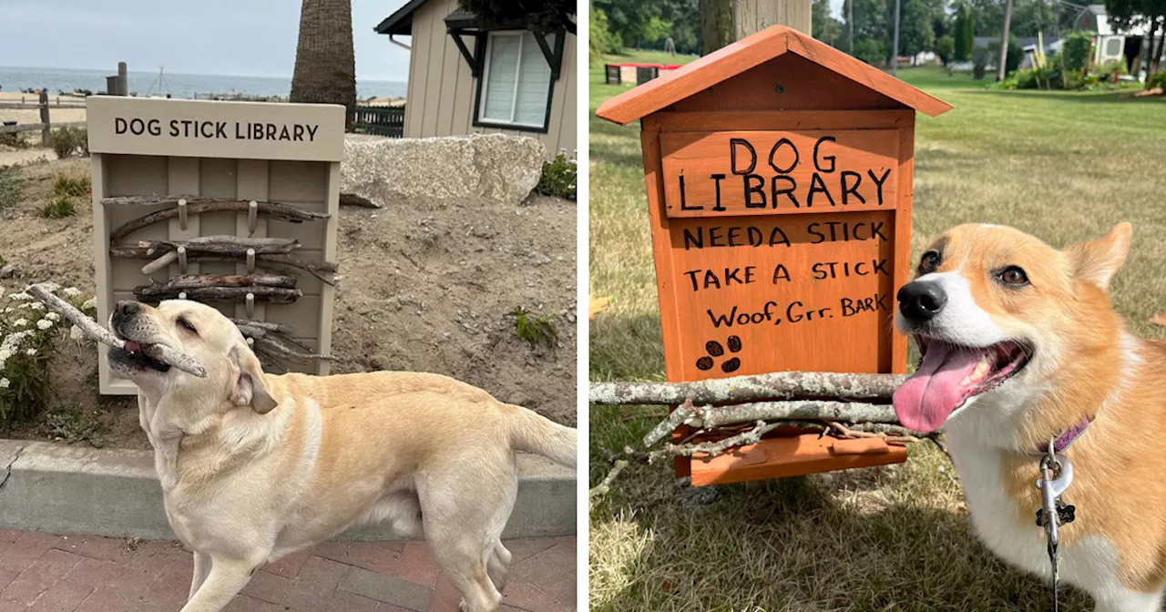 Brilliant Stick Library Idea For Dogs Is Going Viral All Over The World