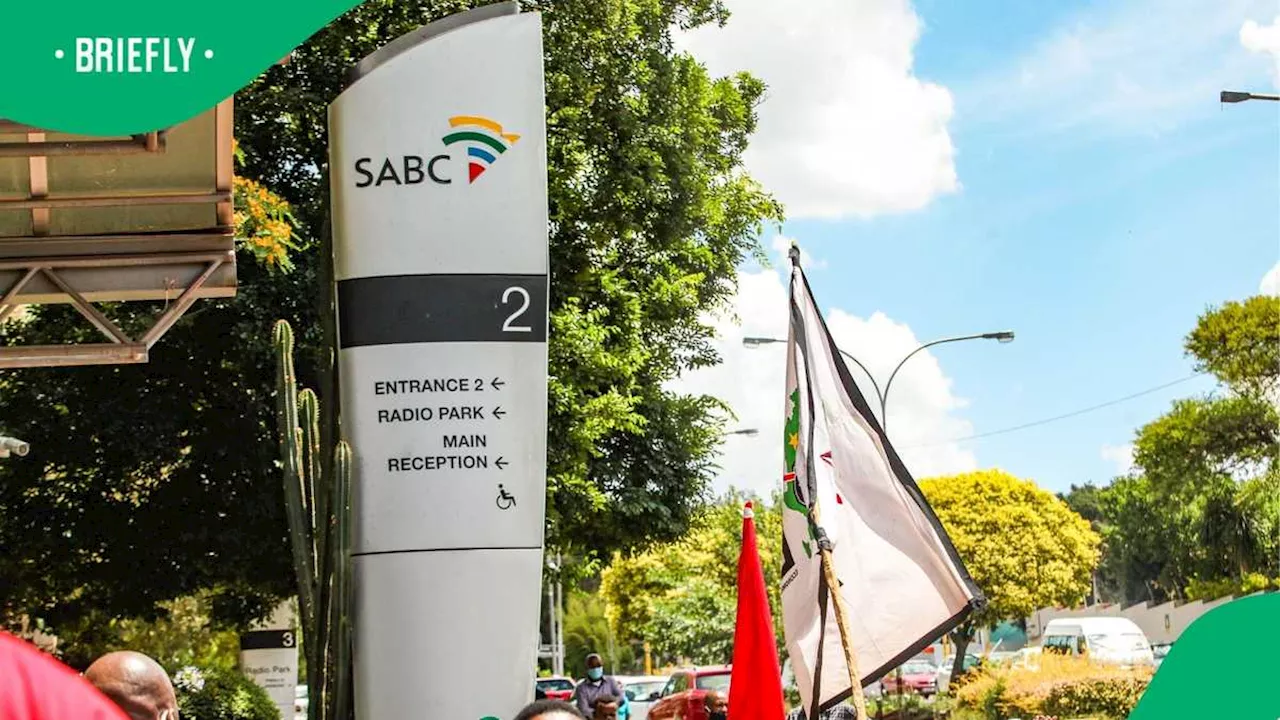 SABC Newsreader Sakhiwo Sokhela Fired for Absenteeism