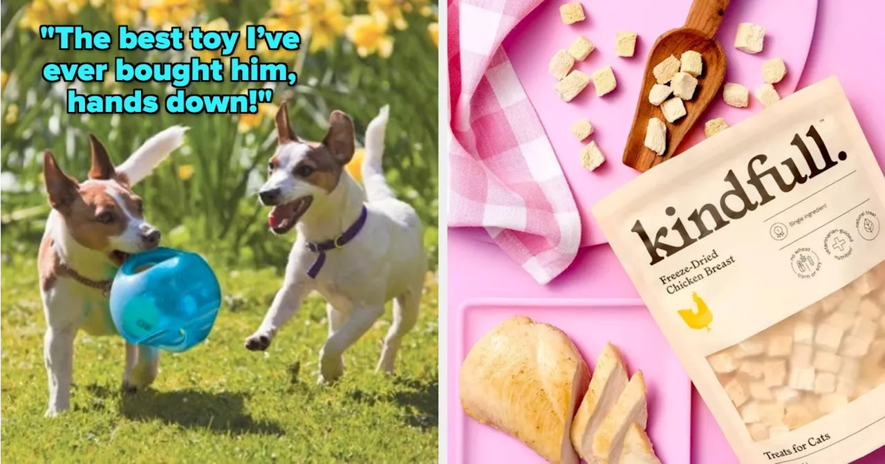 20 Target Products Every Pet Owner Needs