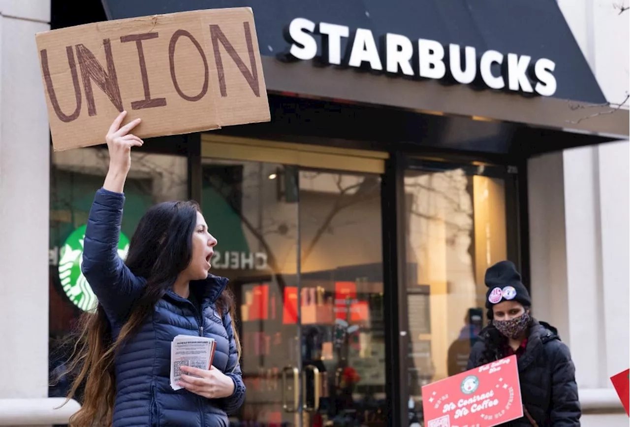 Sindicato da Starbucks Anuncia Greve nos EUA