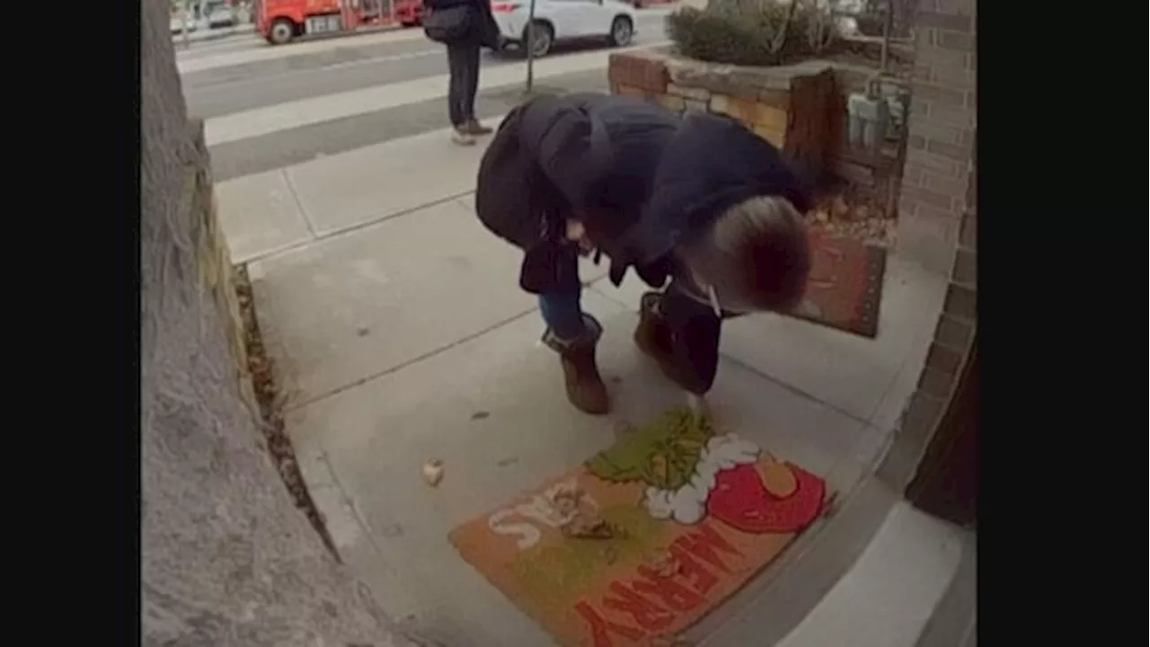 Brazen theft of Grinch-themed doormat leaves Etobicoke woman stunned