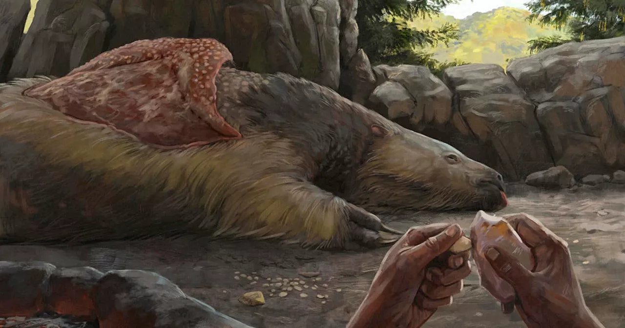 New discoveries could rewrite the history of early Americans — and the 4-ton sloths they lived with