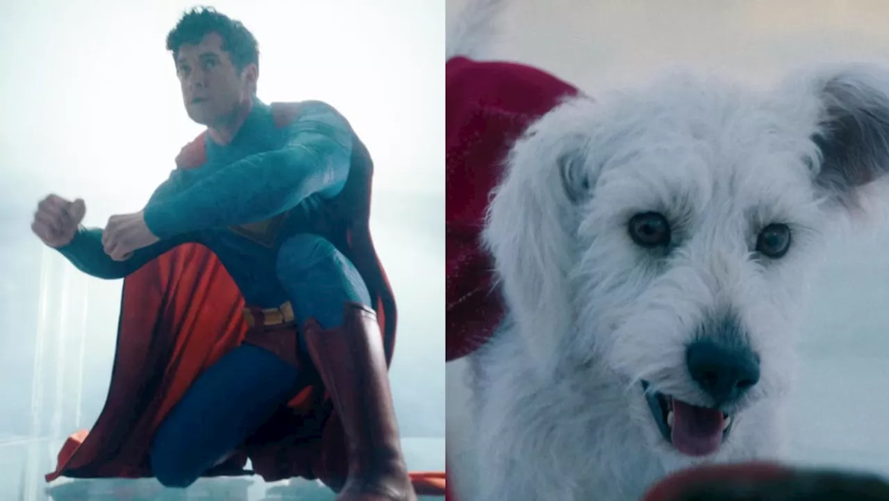 First Superman Trailer: David Corenswet Takes Flight, Lex Luthor Poses a Threat