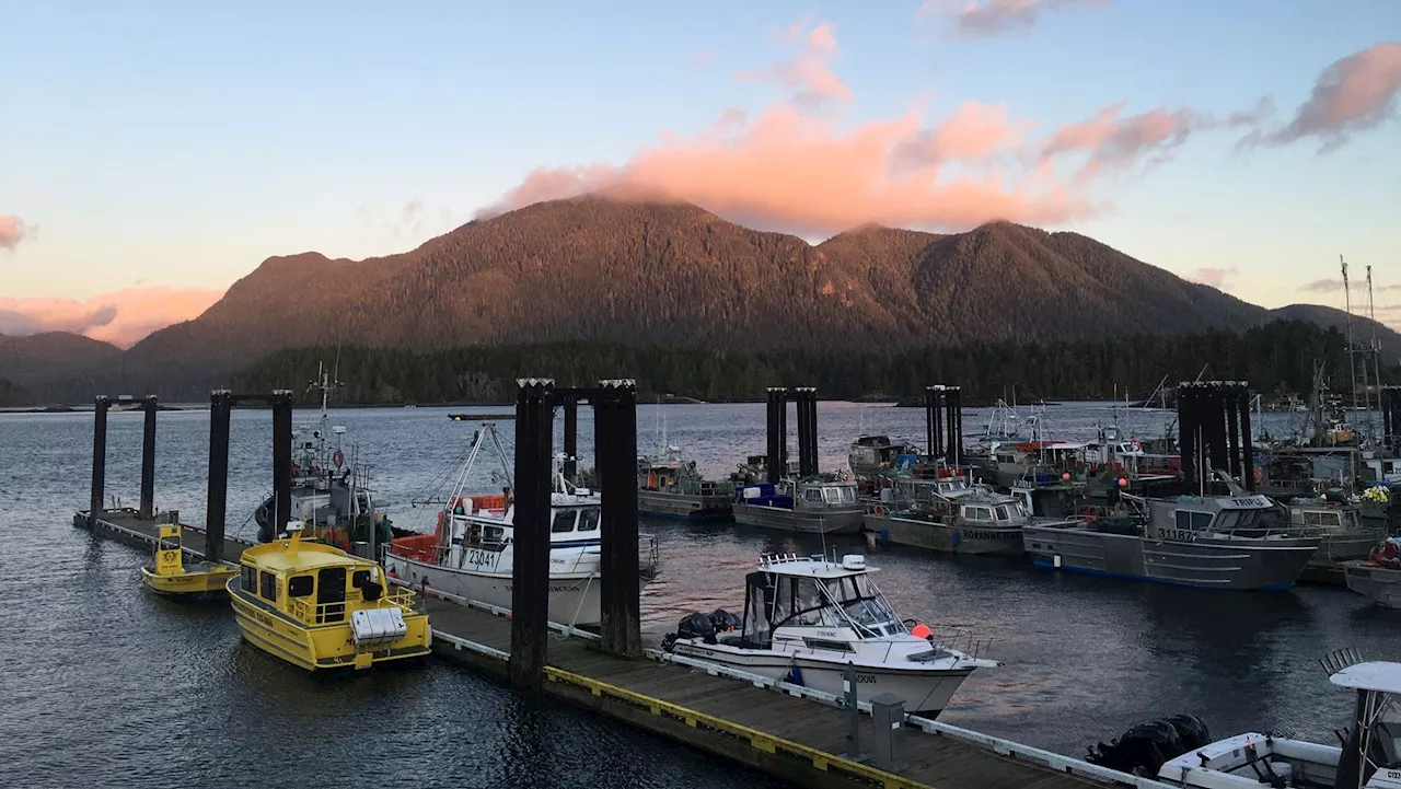 Tofino Harbour Authority at ends with float home owners it describes as ‘squatters’