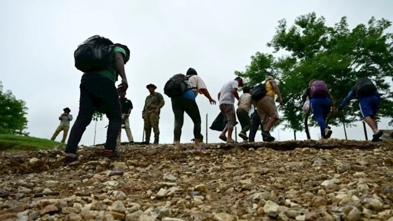 Panamá reporta 55 migrantes muertos y 180 niños solos en la selva del Darién en 2024